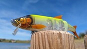 Fishus Cerberus Lite