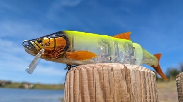 Fishus Cerberus Lite