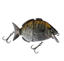 FISHUS - Esparrall