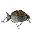 Fishus FISHUS - Esparrall