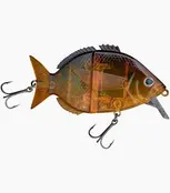 FISHUS - Esparrall