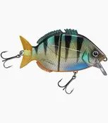 FISHUS - Esparrall