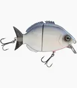 FISHUS - Esparrall