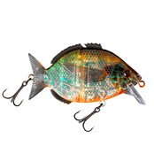 FISHUS - Esparrall