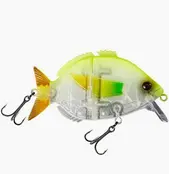 FISHUS - Esparrall