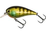 Westin Gift box Luc Coppens favorites