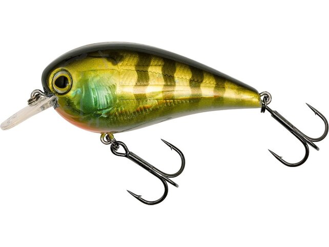 Westin Gift box Luc Coppens favorites