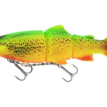 Tommy The Trout Inline