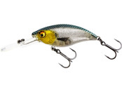 Westin  Buzzbite Crankbait Suspending