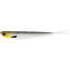 Westin Westin Twinteez V2 V-Tail