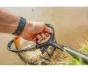 Preston Monster XS Lift Net