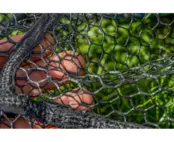 Preston Monster XS Lift Net