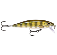 Rapala X-RAP COUNTDOWN