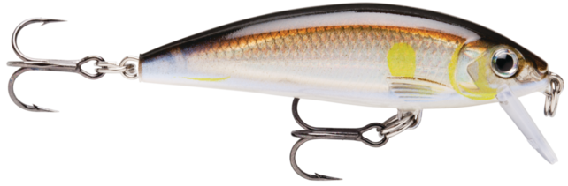Rapala X-RAP COUNTDOWN