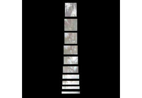 Mother of Pearl Shell Les Paul Custom Block Inlay set/10