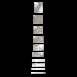 Mother of Pearl Shell Les Paul Custom Block Inlay set/10