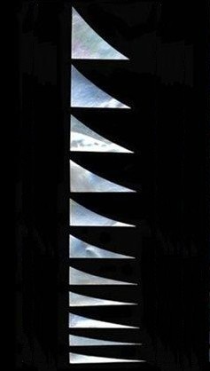 Mother of Pearl shell guitar inlay set Sharkfin