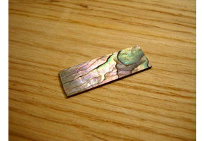 Green abalone plate 35x11mm