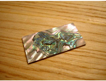 Green abalone plate 41x22mm