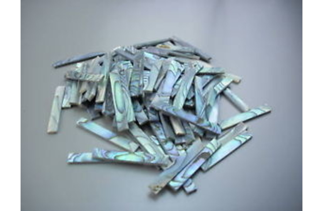 Abalone randinleg set