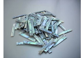 Abalone randinleg set