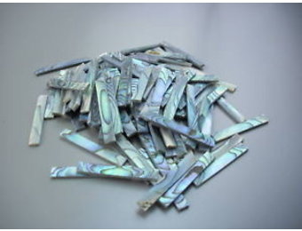 Abalone randinleg set