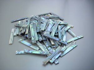 Abalone randinleg set