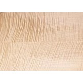 Les Paul top Flamed maple