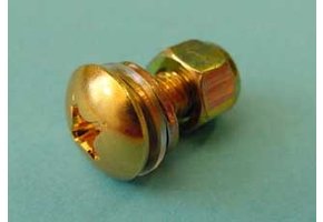 Bigsby arm screw & nut gold