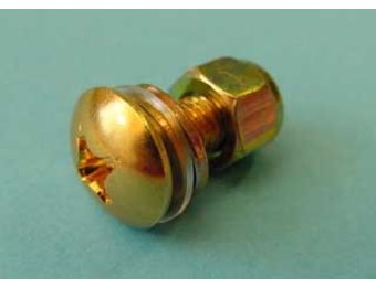 Bigsby arm screw & nut gold