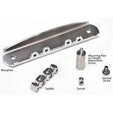 Mastery M1 Bridge Kit for Jazzmaster & Mustang