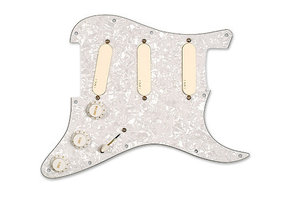 EMG DG20 Dave Gilmour system