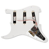 EMG DG20 Dave Gilmour system