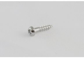 Tuner screw chrome set/12
