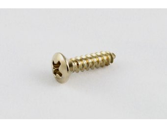 Pickguard screws stainless set/20