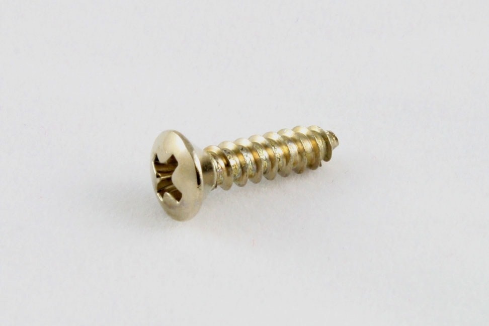 Pickguard screws stainless set/20