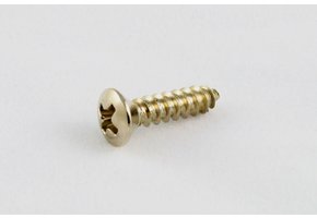 Pickguard screw nickel set/20