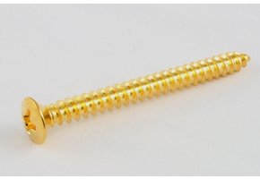 Neck screws gold set/4