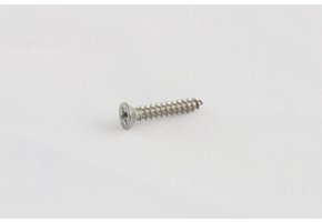 Pickup ring screw short stainless set/8