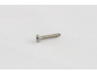 Pickup ring screw short stainless set/8