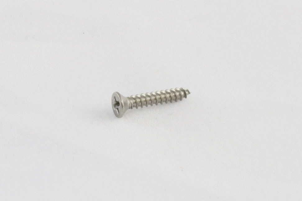 Pickup ring screw short stainless set/8
