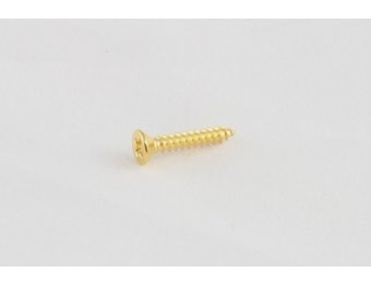 Pickup ring screw short gold set/8