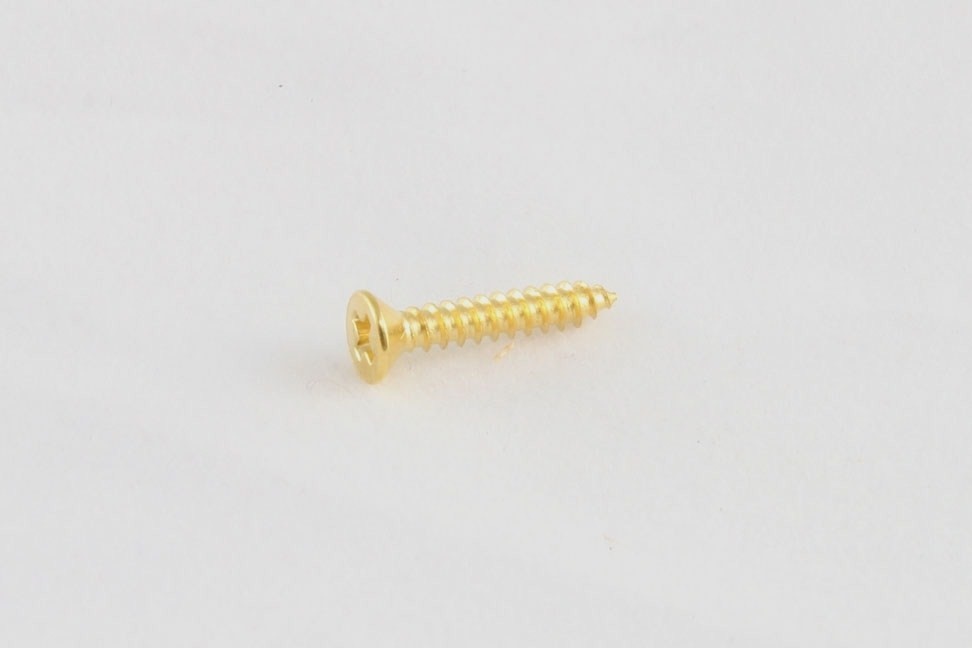 Pickup ring screw short gold set/8