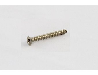 Pickup ring screw long stainless set/8