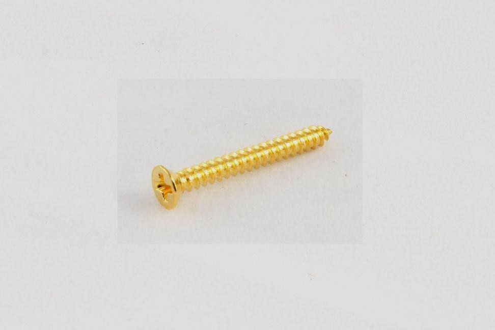 Pickup ring screw long gold set/8