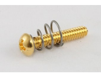 Strat pickup screw USA gold set/6