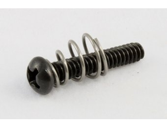 Strat pickup screw /spring USA black set/8