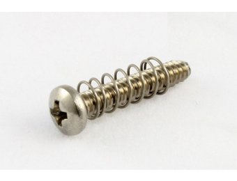 Strat Saddle intonation screws/spring SS set/6
