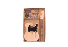 Boston  KIT-TE-15 Guitar Kit