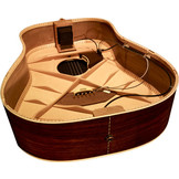 LR Baggs Anthem Acoustic Guitar Pickup System
